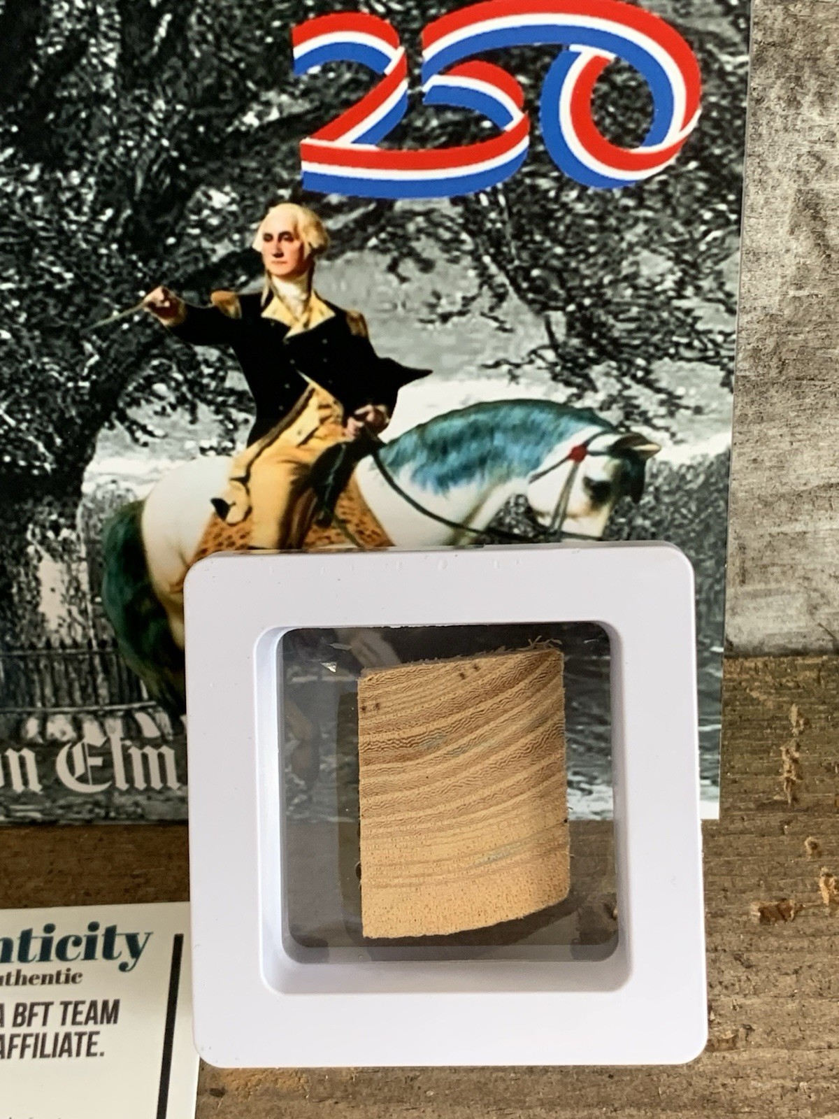 Original Piece of Georgia Washington’s Elm Revolutionary War