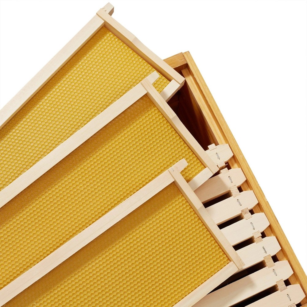 10 Assembled Beehive Frames, Coated Beeswax Foundations for Beekeeping, 6-1/4"