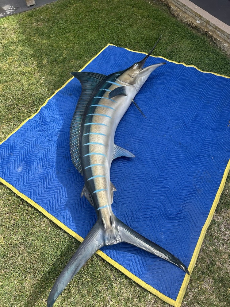 9 Foot Marlin