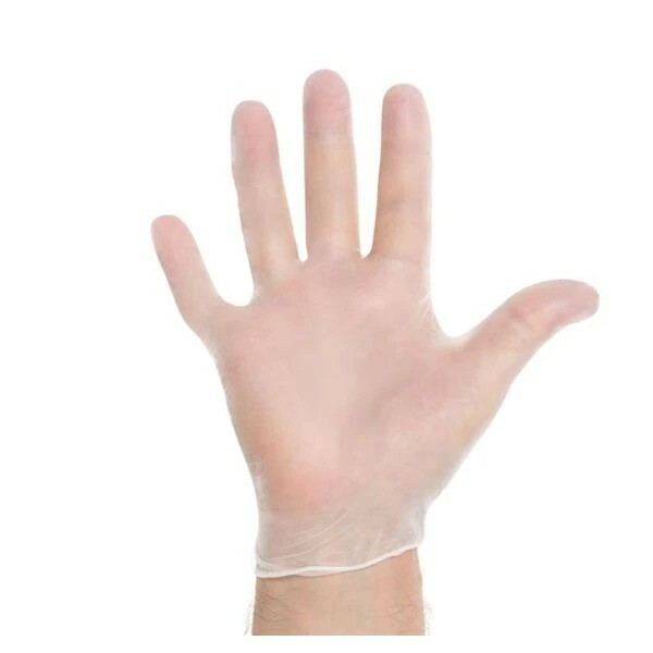 Vinyl Gloves Large 1000 Case