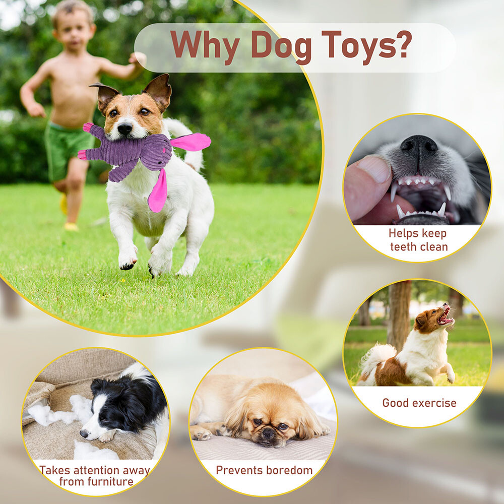 5 Pack Plush Toys Assortment Puppy Pet Squeak Toy for Small Medium Large Dogs