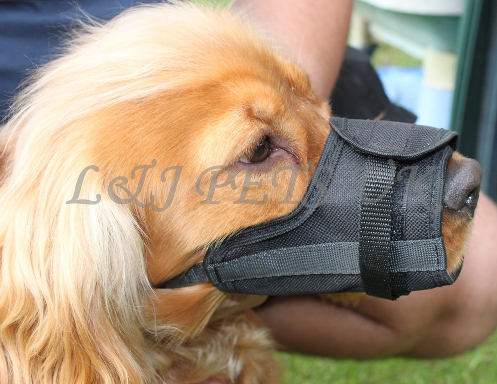 NEW Nylon Adjustable Pets Mouth Set Muzzle for Dog Set Stop Chewing Bark Bite