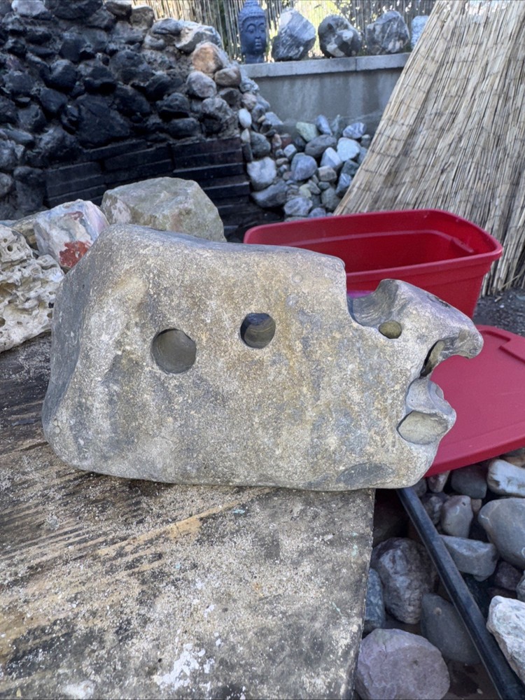 Natural Hag Stone