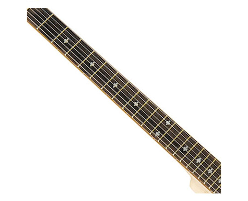 Gold Tone 6-String Banjitar - Open Box