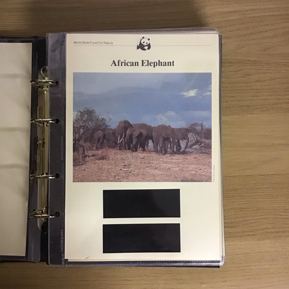 WWF Stamp And Cover Album With Slipcase And Leaves