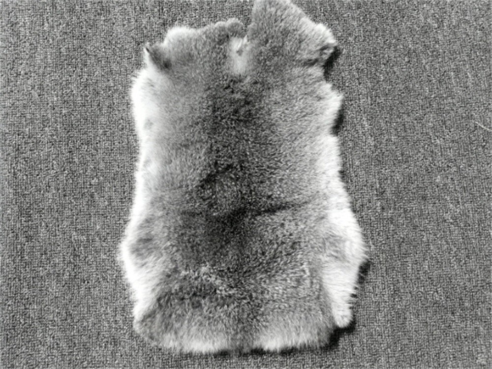 High Quality Soft Natural Gray Rabbit Skin Pelt Real Fur Craft Decro 8-14'' US