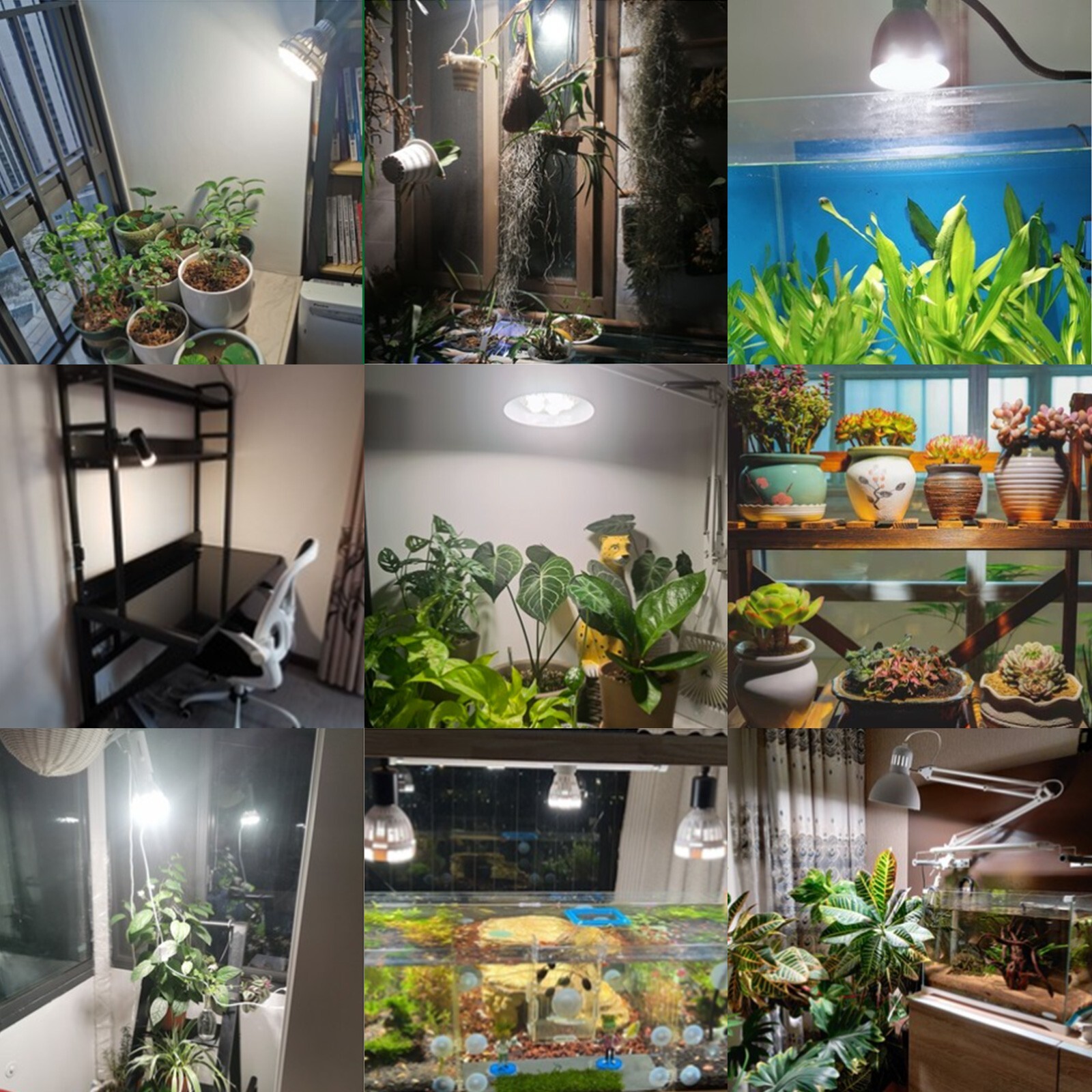 SANSI 24W LED Grow Light Bulb for Indoor Plants Full Spectrum 300W Equivalent