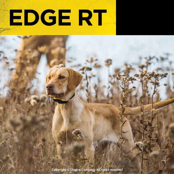 Dogtra - EDGE RT - 1 Mile - Remote Training Collar