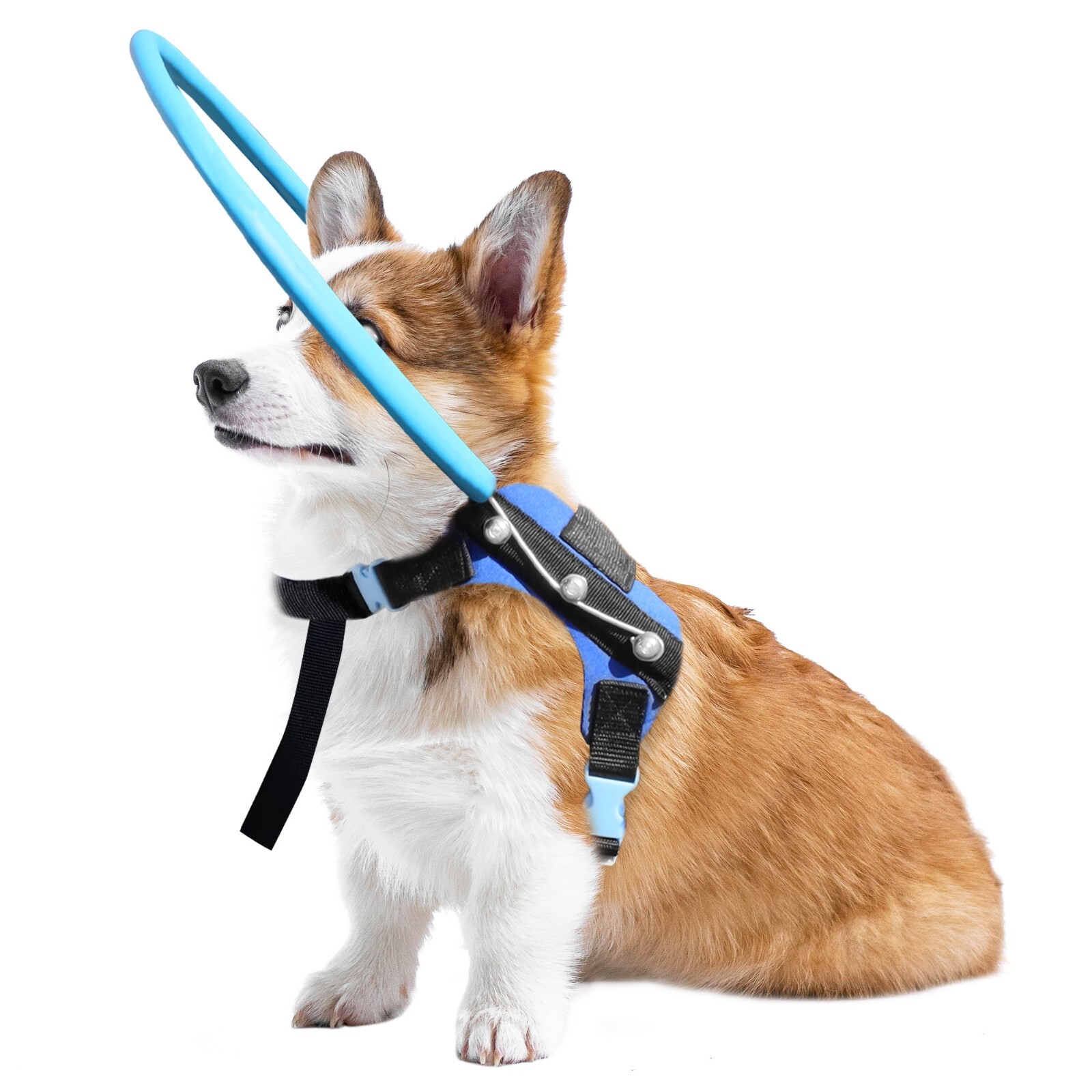Blind Dog Protective Halo Dog Harness Collar,Confidence Building Harness Guiding