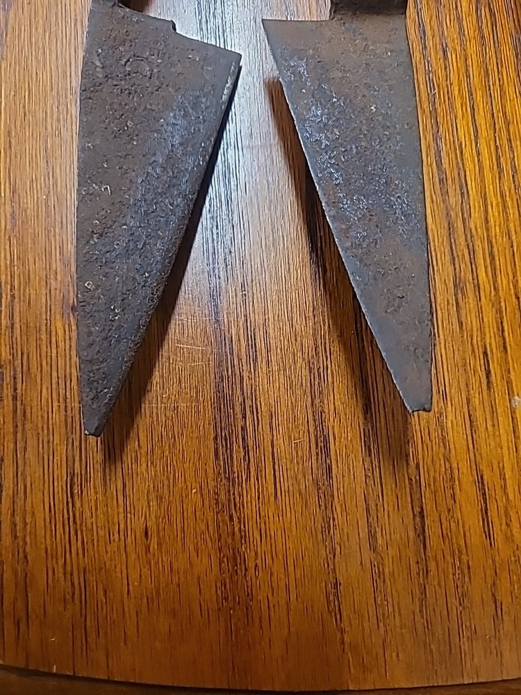 Antique Sheep Shears