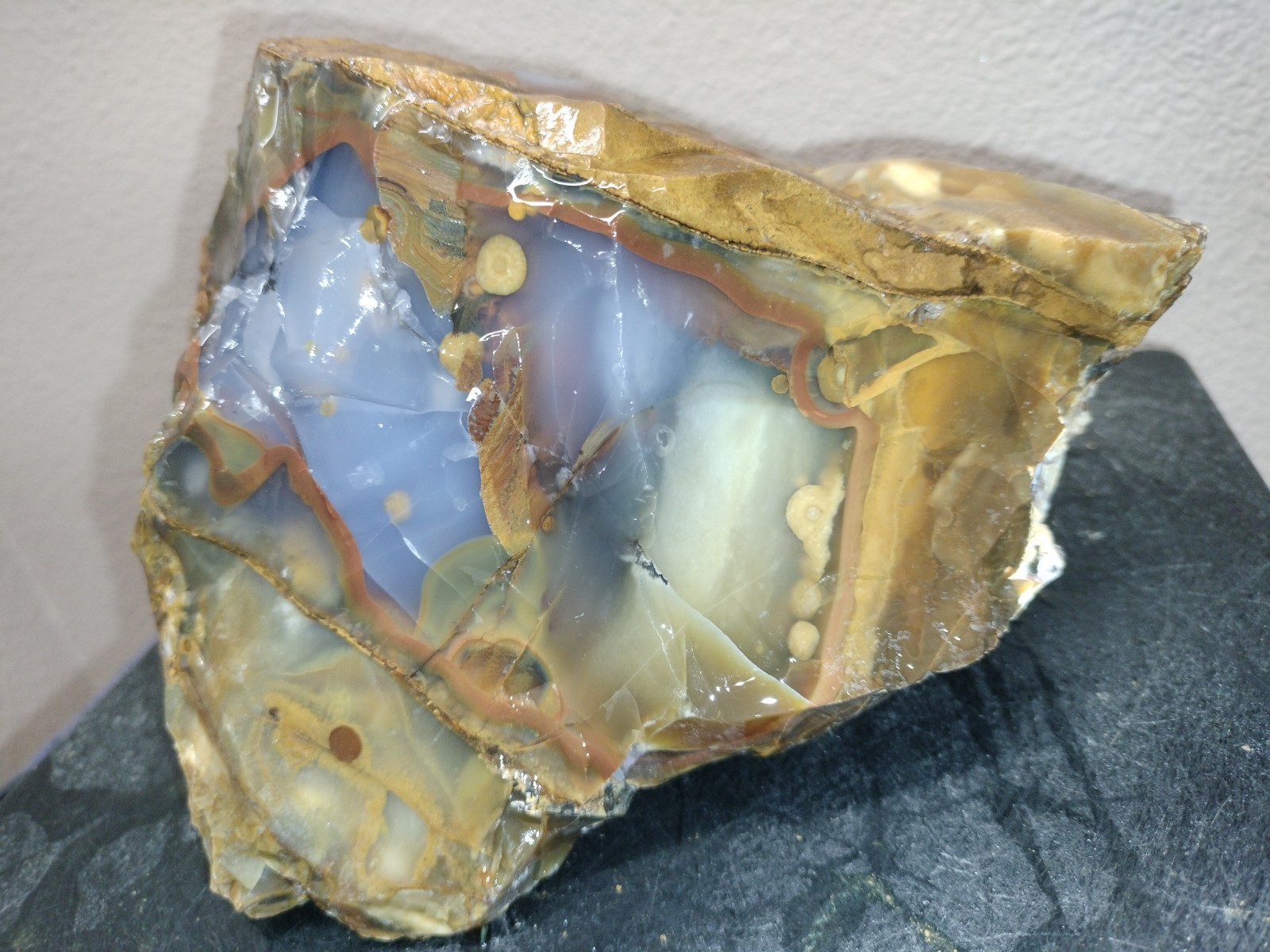 8.2LB 💙 Blue Ice Polka Dot Agate 2pc Rough Lot Ashwood, OR Cabochon Stock #24