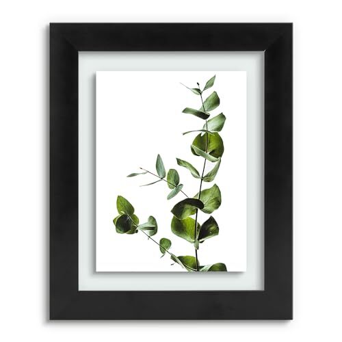 Solid Wood Floating Picture Frame Pressed Flower Frame with Hanging Hardware