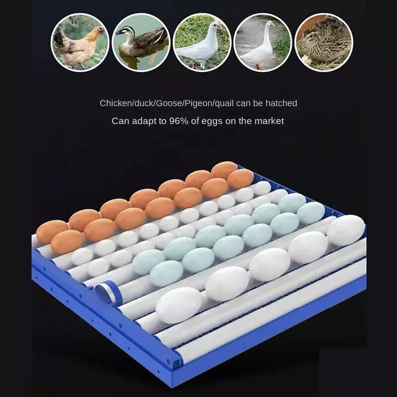 204 WiFi Egg Incubator Fully Automatic Turning Digital Brooder for Farm Home Use
