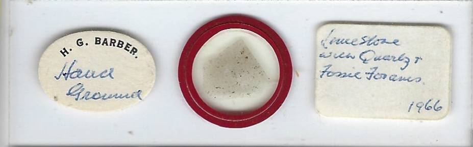 Limestone with Quartz Petrographic Microscope Slide by H. G. Barber