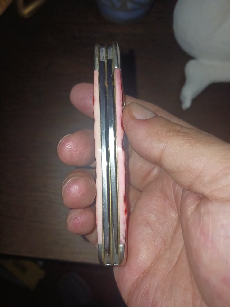 Case Raspberry Trapper knife