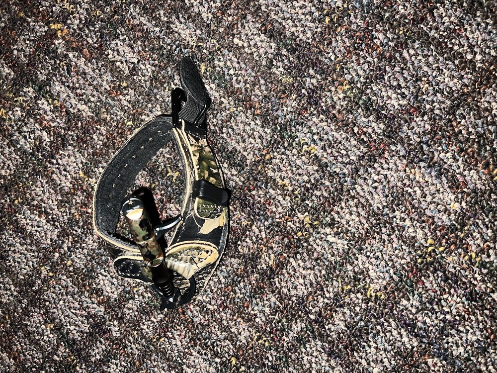 Bear Paradox Compound Bow