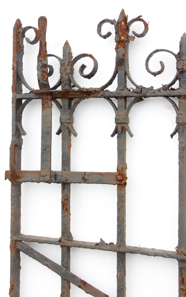 Wrought Iron Fence with Attached Gate