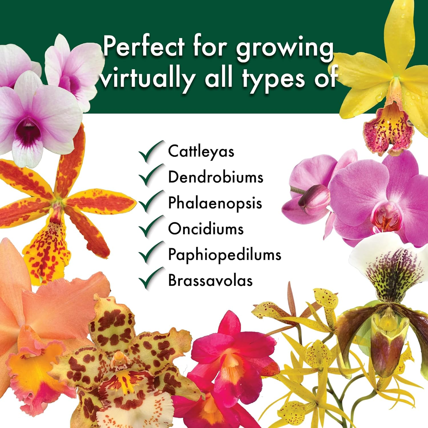 Special Orchid Mix - Premium Grade Orchid Bark Potting Mix - 4 Quarts