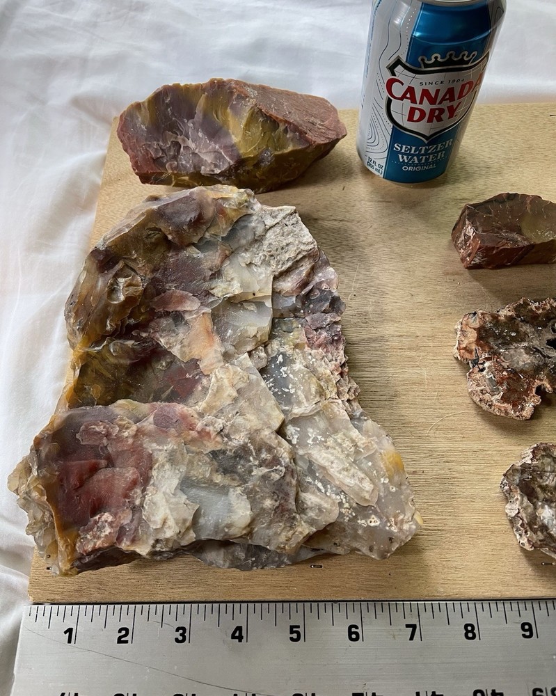 Petrified Wood Collection