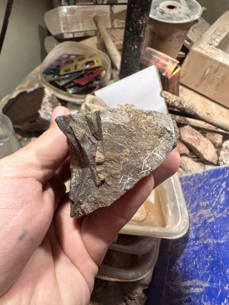 Dinosaur bone rough chunk. (344.7 grams)