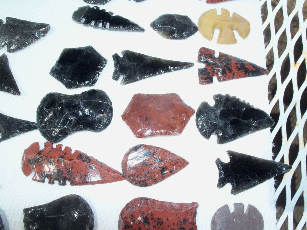 5 exotic Arrowheads per lot.