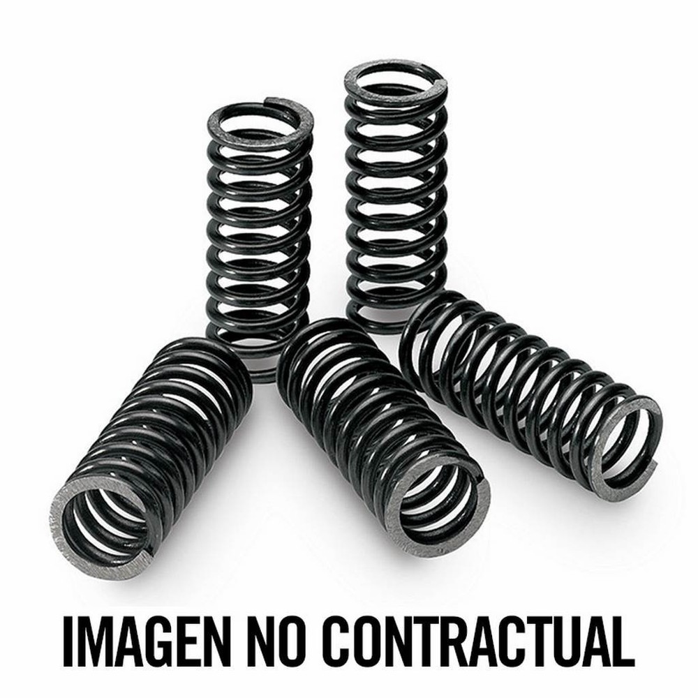 TECNIUM KIT, CLUTCH SPRING