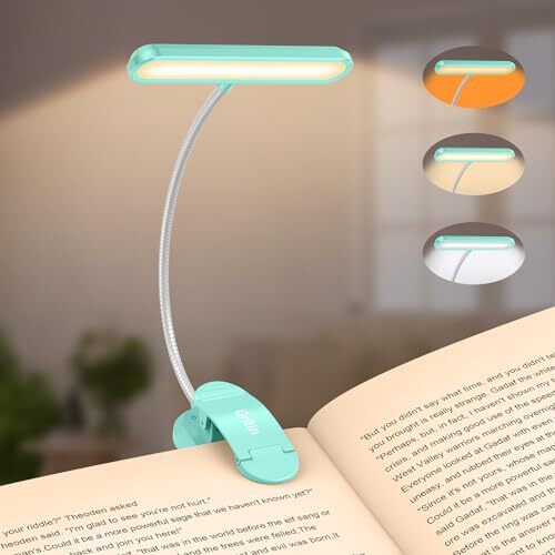 Rechargeable Book Light for Reading in Bed with 19 LED &Memory Function-Eye