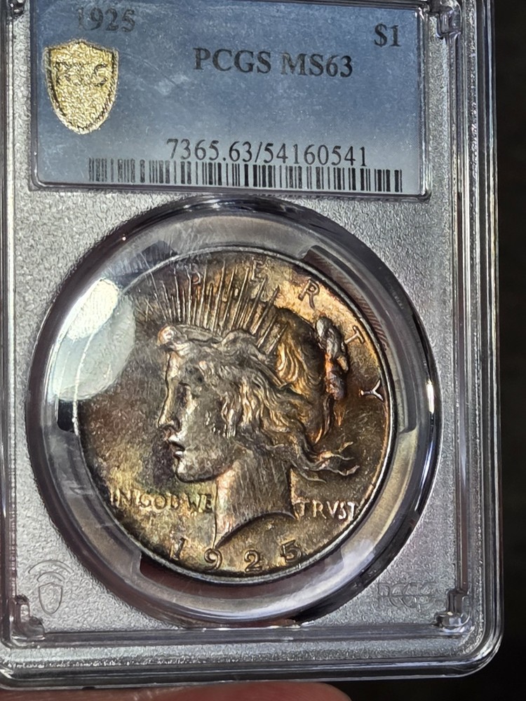 1925 $1 Peace Dollar PCGS MS63 Toned
