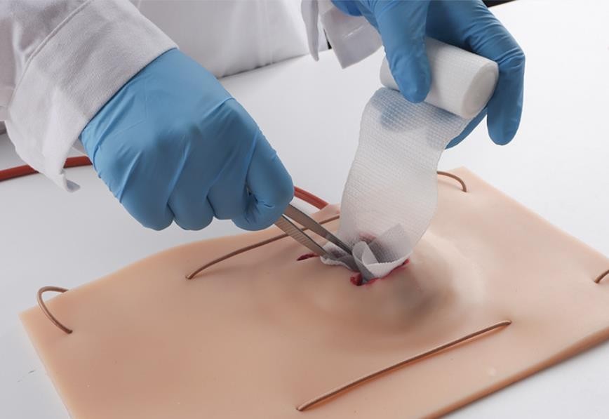 Large-caliber Gun Wound Hemostasis Control Training Model