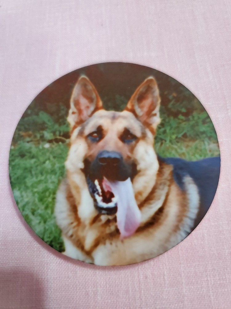4 GERMAN SHEPHERD MAGNETS