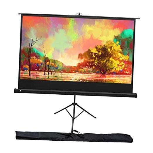 60 Inch Projector Screen with Stand | Pull Down Projection Backdrop for