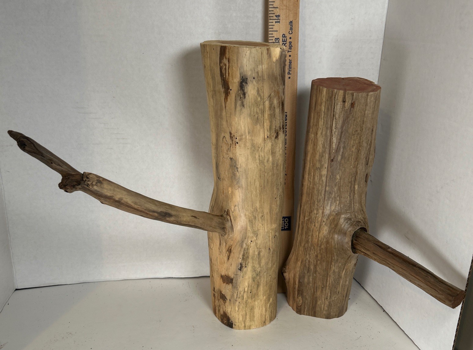 Driftwood¡ 2 Piece Set Cedar Taxidermy Beach Mountain  Wedding 1 White Outside