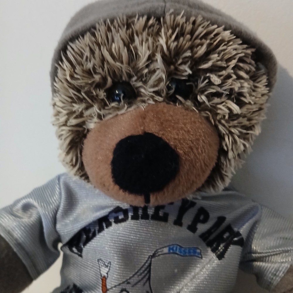 Hershey Park bear from 2015