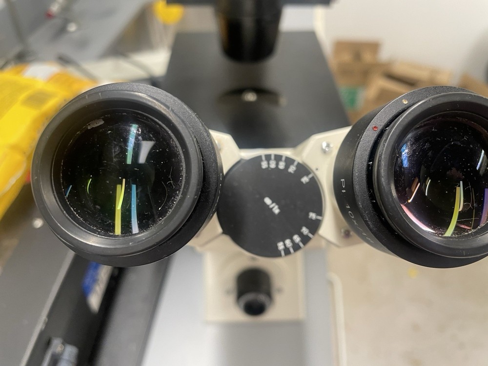 CARL ZEISS AXIOVERT 25 INVERTED PHASE CONTRAST MICROSCOPE with 4 objectives