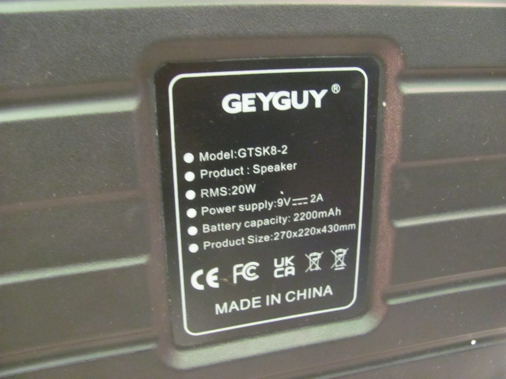 GEYGUY GTSK8-2 Bluetooth PA Karaoke Speaker Machine