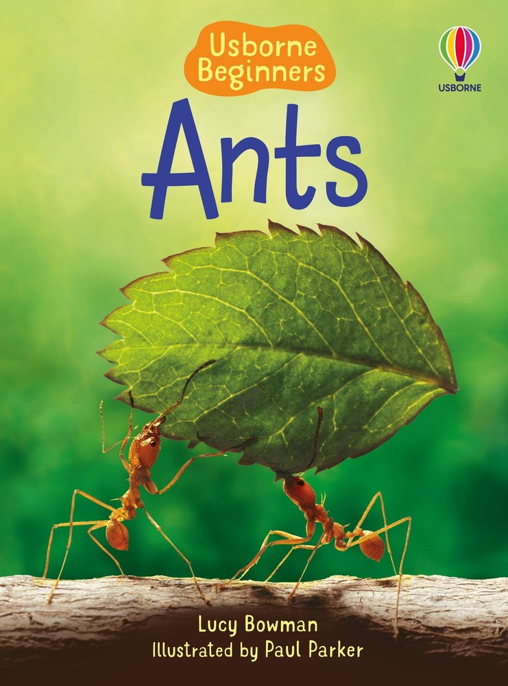 Ants (Beginners)