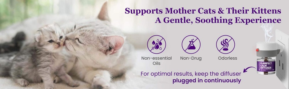 Purrfect Calm Cat Diffuser – Natural Odorless Calming Solution for Stress Relief