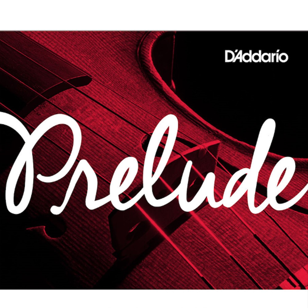 D'Addario Prelude Cello Single D String, 4/4 Scale, Medium Tension, Bulk 10-Pack