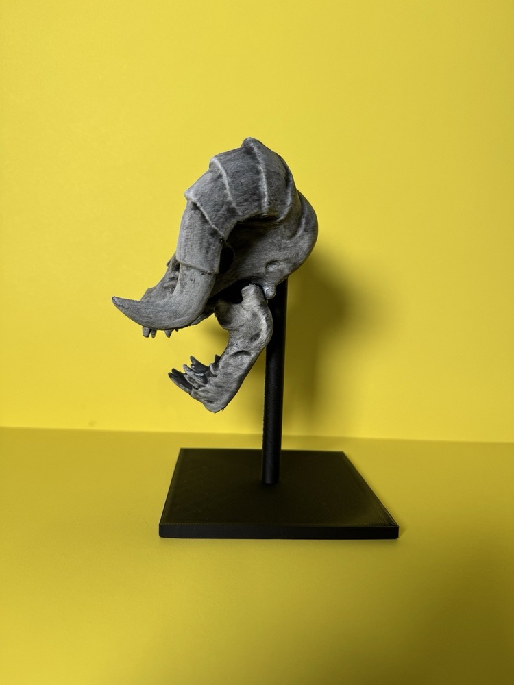 Deathclaw Fallout Designer Skull!