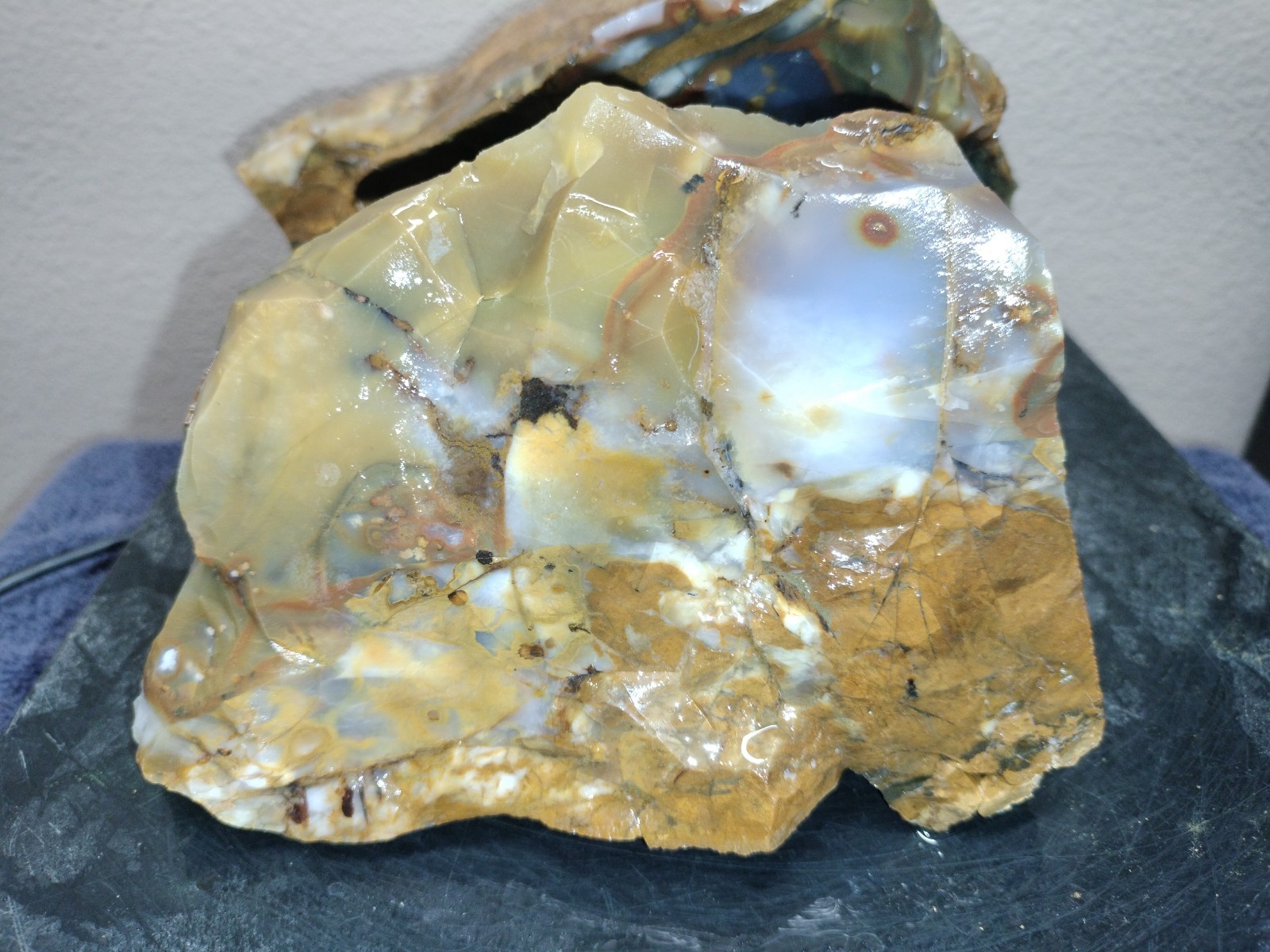 8.2LB 💙 Blue Ice Polka Dot Agate 2pc Rough Lot Ashwood, OR Cabochon Stock #24