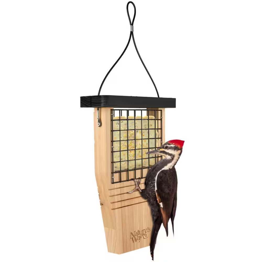 Cedar Tail Prop Suet Feeder 1 Cake