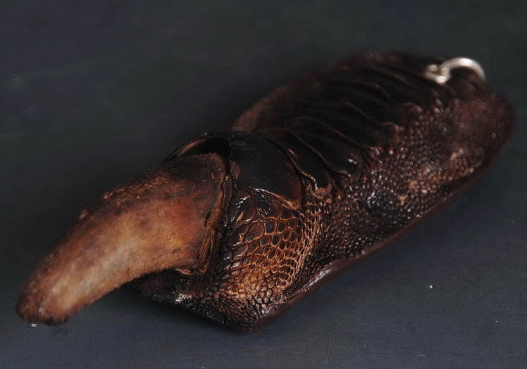 Artificial rearing Ostrich paw Chain