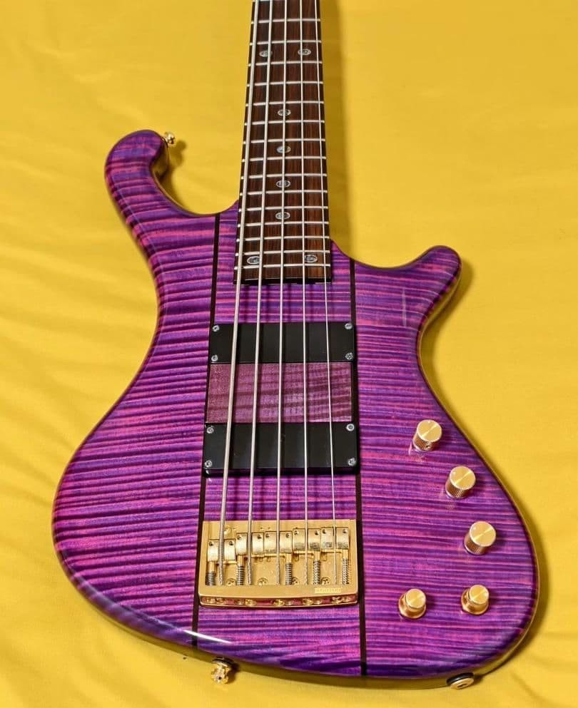 FREEDOM CUSTOM GUITAR RESEARCH dulake5st