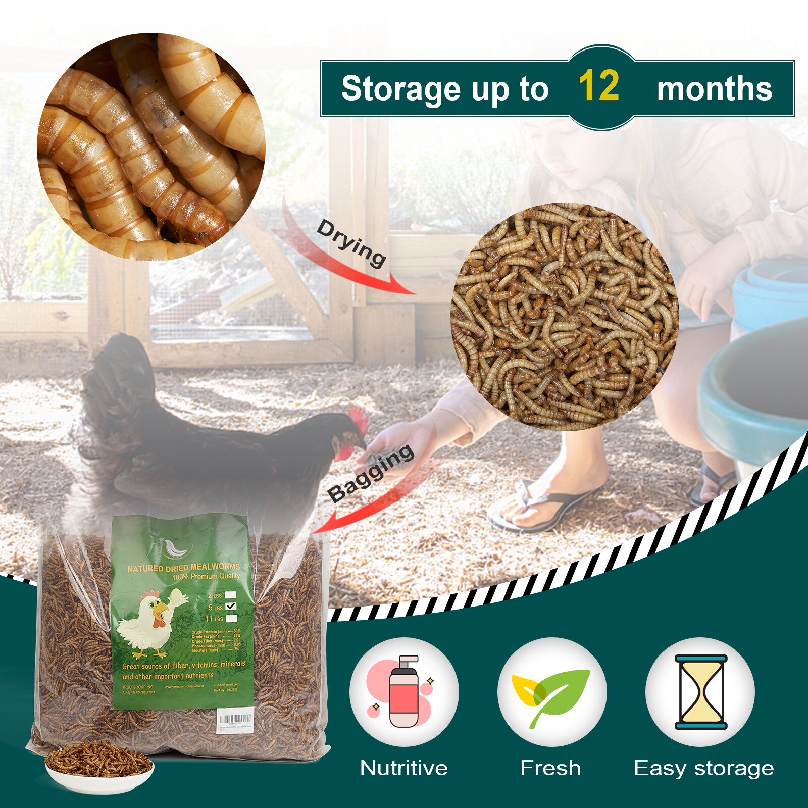 Dried Mealworms Bulk Non-GMO Organic for Wild Blue Bird Food Chickens Hen Treats