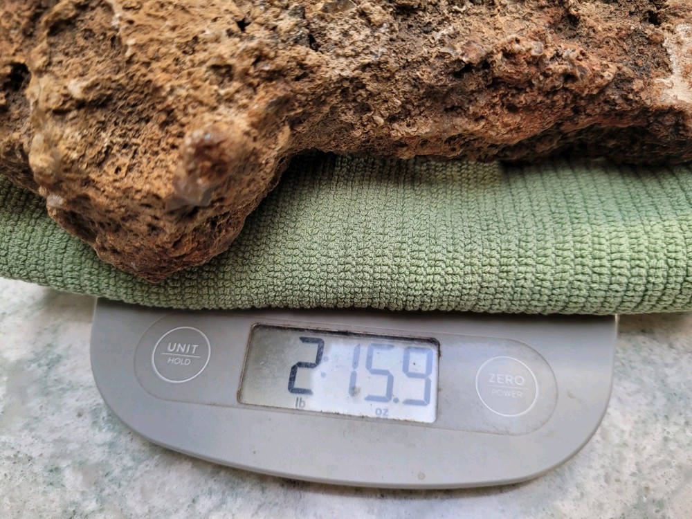 Unique Unknown rock formation (Alien Head Shape) 3lbs