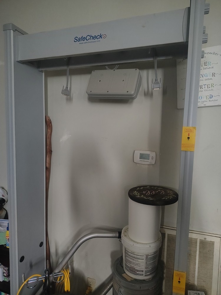 Safe chek temperature walk through detector