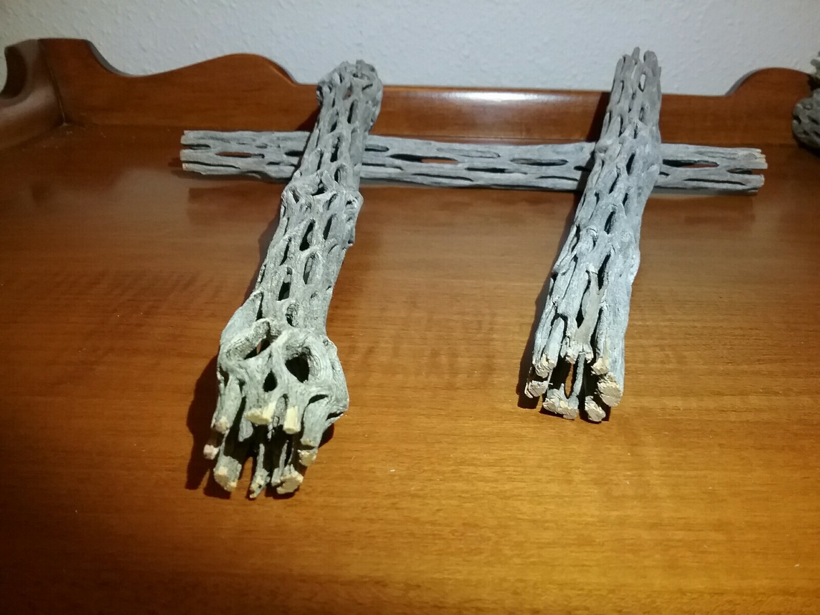 3 pieces of 10" inch Cholla Wood | Organic Cactus | Aquarium Decor | Chinchilla