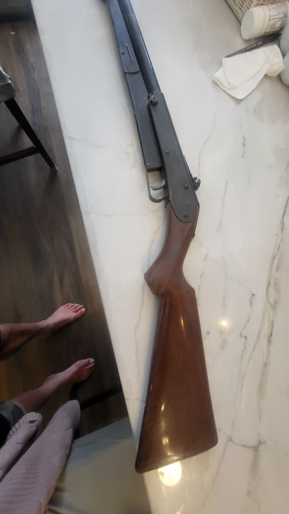 Anique Daisy Engraved BB Gun