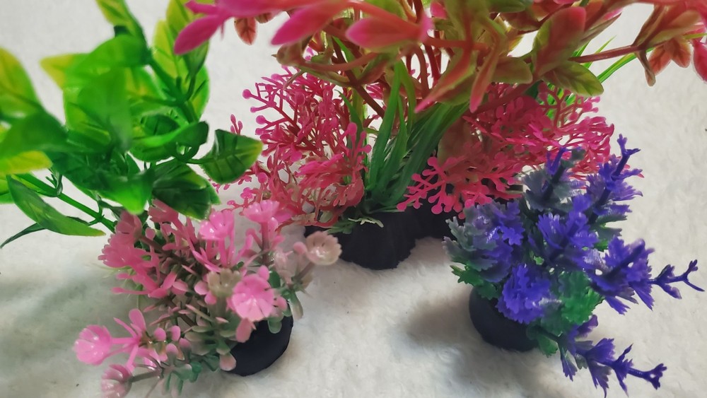 Decoracion Pecera