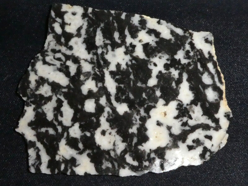 Zebra stone jasper  - slab 4 1/2" x 4" rough-cabbing--display-science